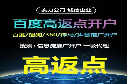 谷歌SEM案例研究：数据分析与效果评估